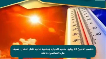 طقس الاثنين 28 يوليو: شديد الحرارة ورطوبة عالية خلال النهار.. تعرف على التفاصيل كاملة